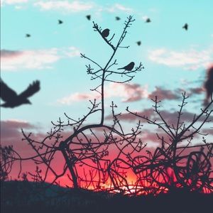 Meet your Posher, Madilyn